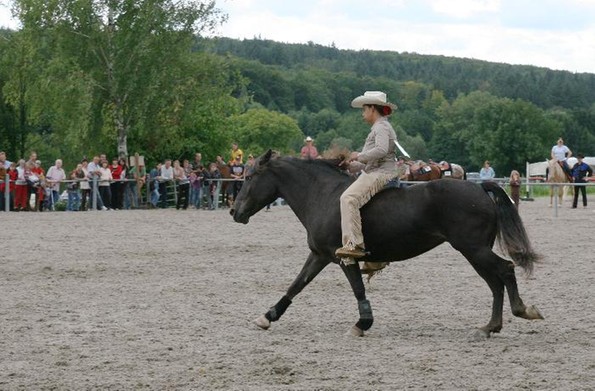 Rainer single pforzheim