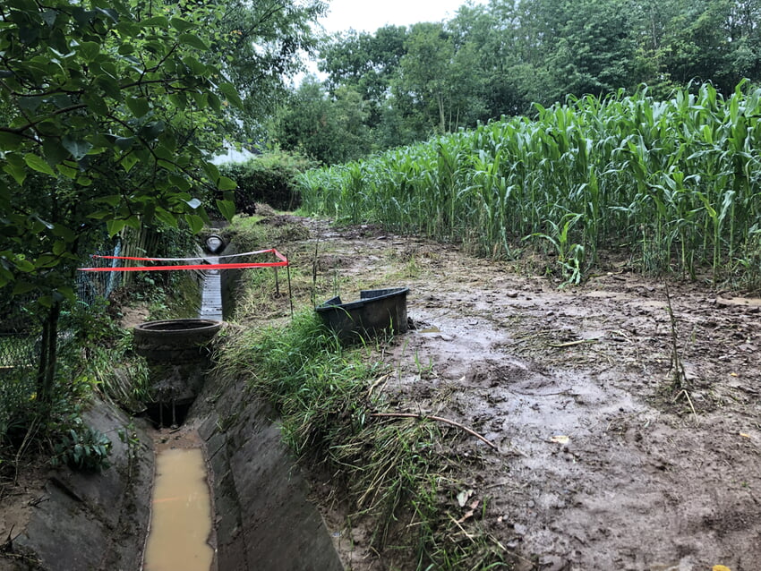 Das Archivfoto (Wald + Corbe) zeigt einen Grabenbereich in Karlsbad-Auerbach