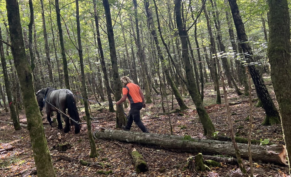 Foto: Archiv Gemeinde Karlsbad