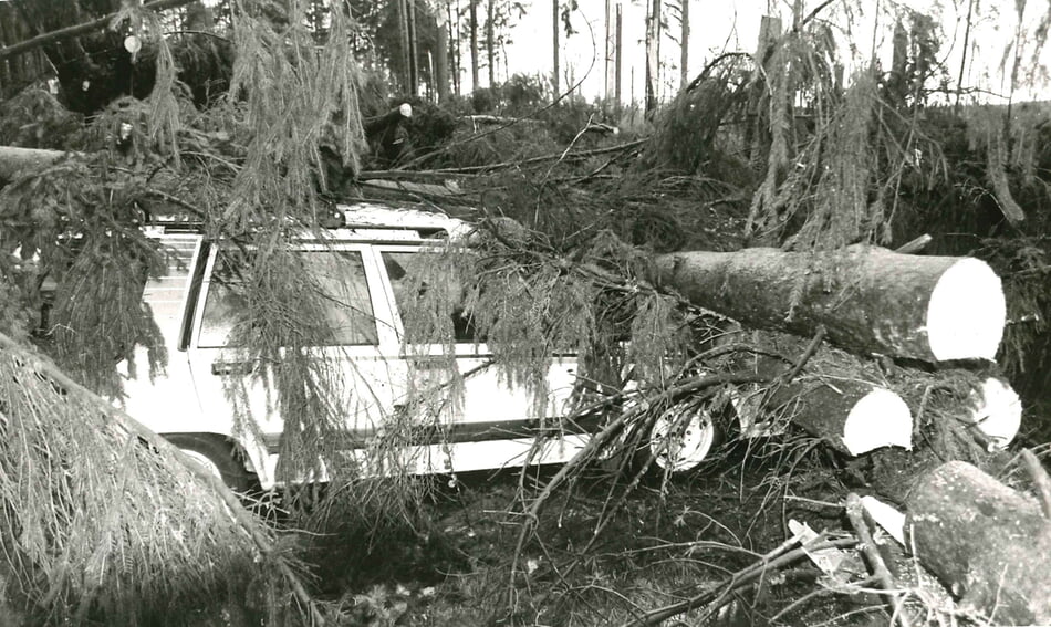 Ein unter Bäumen begrabenes Auto. Foto: Archiv Gemeinde Karlsbad