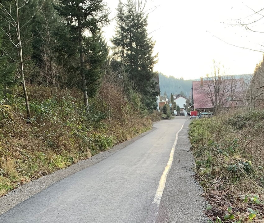 Albtalradweg kurz vor Marxzell, Foto: Regierungspräsidium