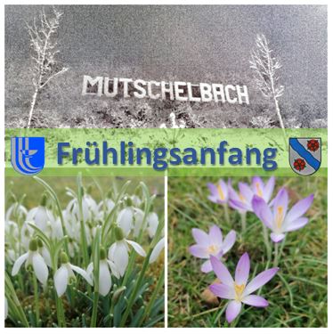 Er ist´s: Frühling lässt sein blaues Band... (Eduard Mörike)