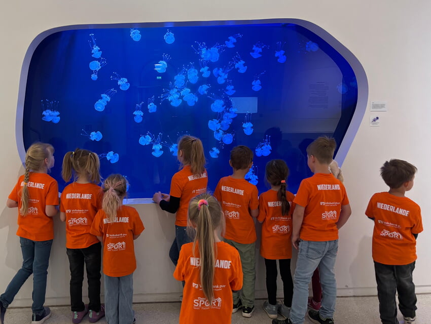 Ist das ein rießiges Aquarium ...