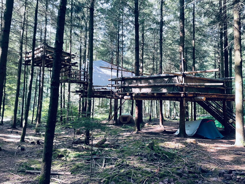 Baumhauscamp