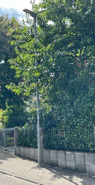 Foto: Gemeinde Karlsbad