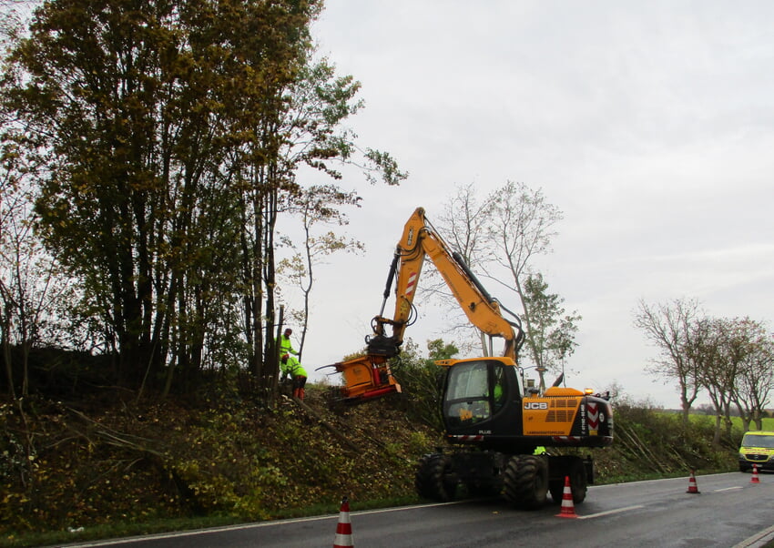 Die Gehölzpflege entlang der Straßen im Landkreis Karlsruhe beginnt im Oktober.