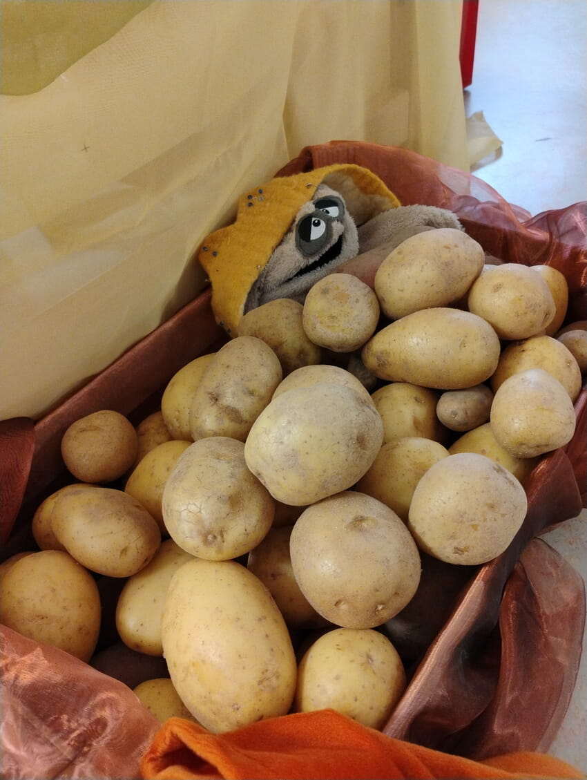 Der Kartoffelkönig war da