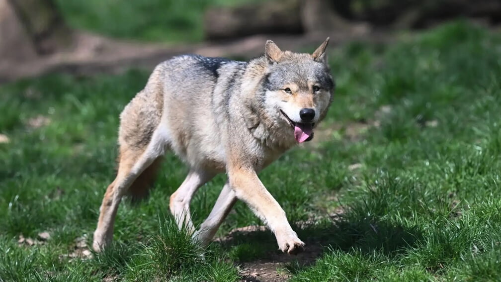 Foto: Bernd Weißbrod/dpa (Symbolbild)