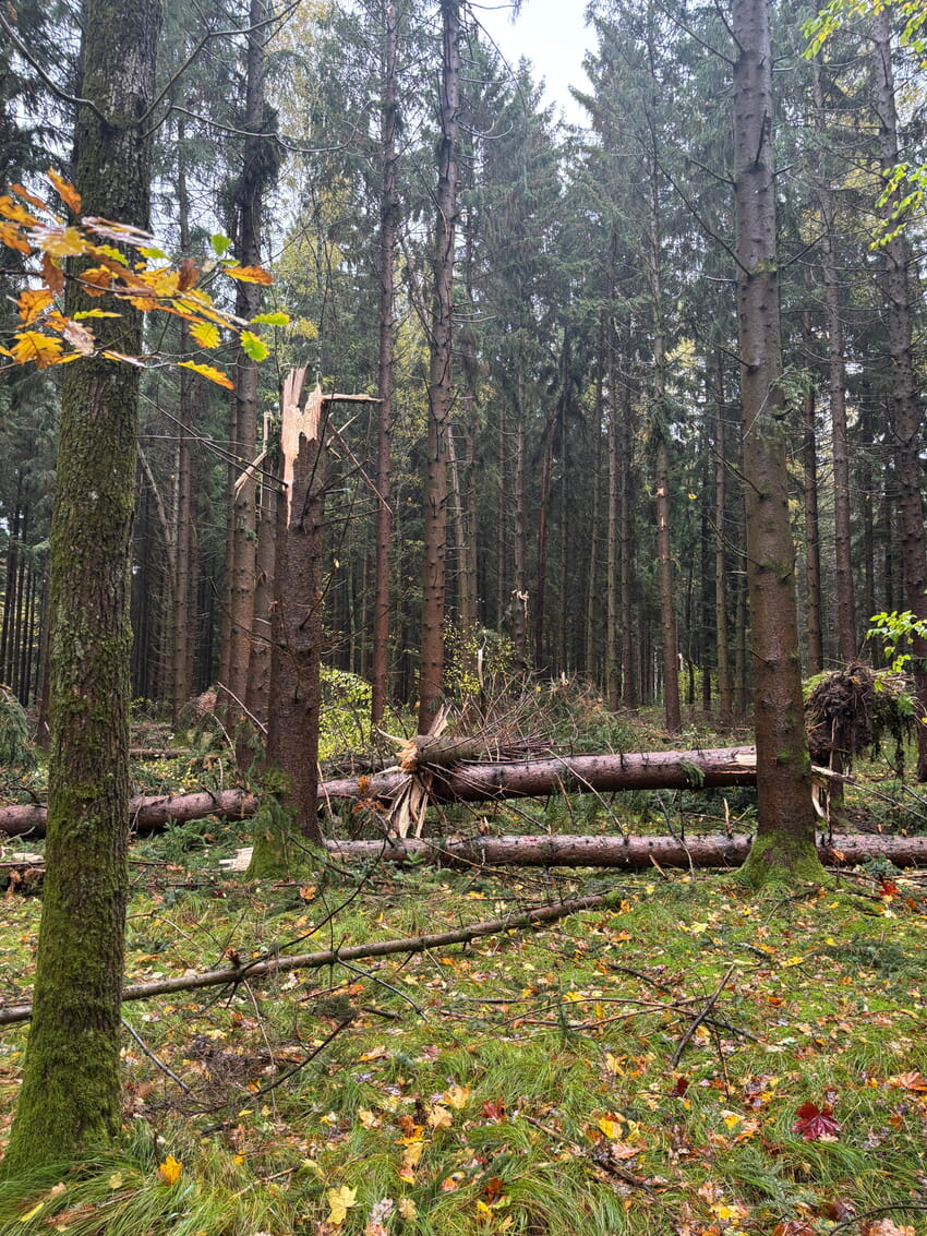Foto: Gemeinde Karlsbad