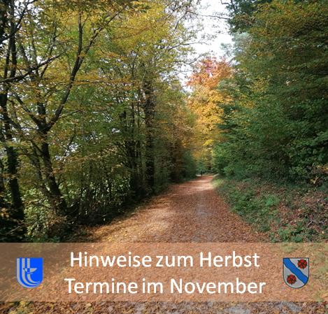 Talweg im Bocksbachtal