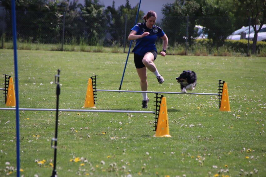 Annika mit Mira beim H&uuml;rdenlauf.