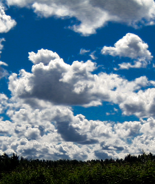 Regenwolken am Himmel: Kein Problem!