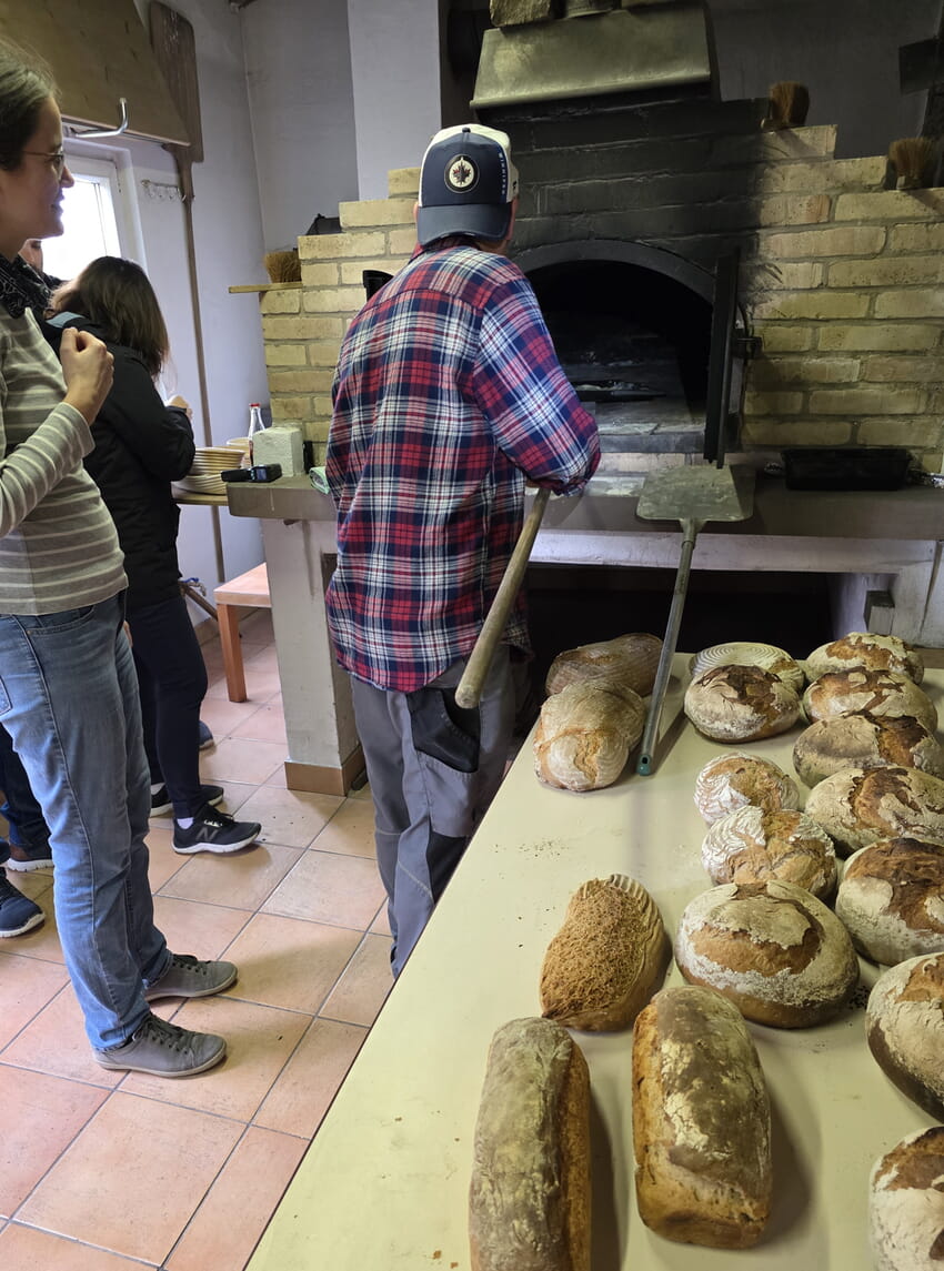 Es ist wieder soweit: Am 1.8.26 wird im Heimatmuseum köstliches Brot gebacken!