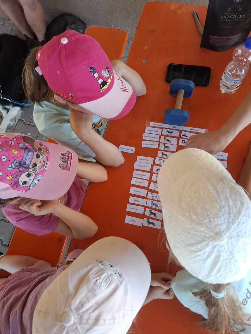 Die Kinder r&auml;tseln, welche Rasse welche Aufgabe hat.
