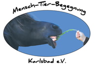 News vom Begegnungshof