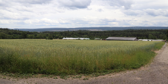 Infoabend zum geplanten Solarpark im Gewann Hamberg in Karlsbad-Spielberg