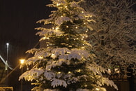 Sch&ouml;ne und besinnliche Weihnachten