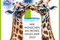 Neujahrsgruß 2025