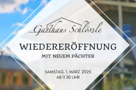 www.tsv-auerbach.de