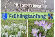 Der Frühling ist da