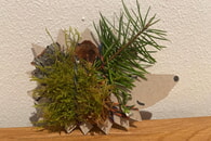 Mit allen Sinnen den Wald entdecken