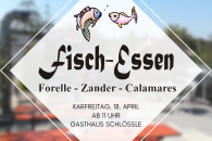 www.tsv-auerbach.de