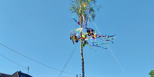 Kommende Veranstaltungen