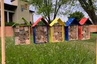 WIR - einfach aktiv: Projekttage an der Grundschule Spielberg