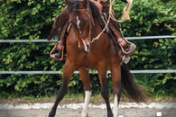Westernreitturnier 27.-29. Juni