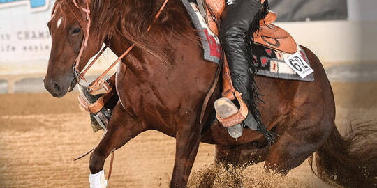 Westernturnier in den Auerbachwiesen