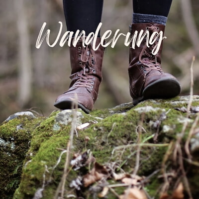 Jahresabschlusswanderung 