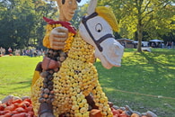 www.gtm-mutschelbach.de