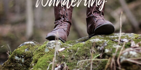 Wanderung: Pfad &uuml;ber der Murg