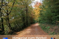 Frühere Dunkelheit - Hinweise