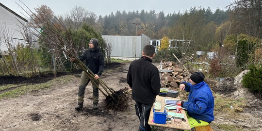 Karlsbader Obstbaumaktion 