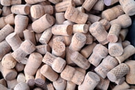 Korrektur zum Artikel Korkensammlung 2025