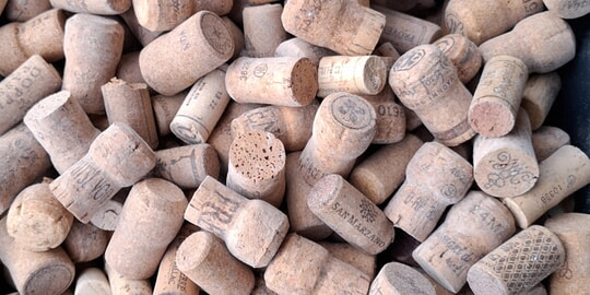 Korrektur zum Artikel Korkensammlung 2025