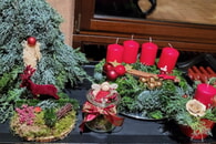 Ein erfolgreicher Workshop