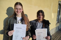 Jungmusiker Leistungsabzeichen in Silber und Bronze