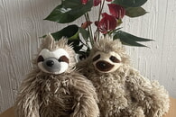 „Ich kann nicht immer kontrollieren, was passiert – aber wie ich damit umgehe, schon.“