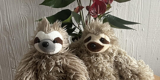 „Ich kann nicht immer kontrollieren, was passiert – aber wie ich damit umgehe, schon.“