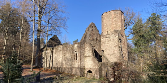 Weihnachts- und Neujahrsgrüße