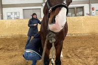 Kurse und Veranstaltungen 2026