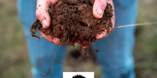 Workshop Kompostierung f&uuml;r Landwirtinnen und Landwirte