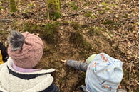 Die Natur erwacht wieder