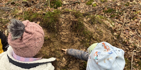 Die Natur erwacht wieder