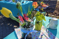 Zum Fr&uuml;hlingsbeginn ein Leselust-Event beim Spielberger B&uuml;cherschrank 