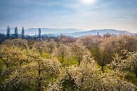 Die Naturpark-Detektive gehen auf Bl&uuml;ten-Safari