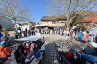 Immer wieder kommt ein neuer Fr&uuml;hling 