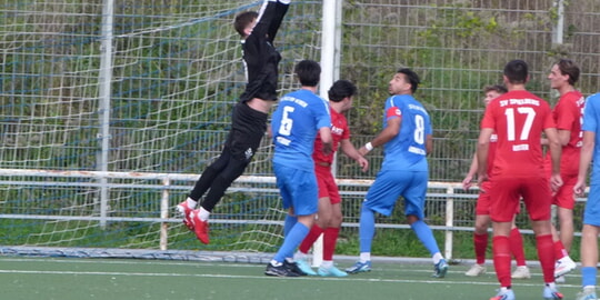 SVS - TSG Weinheim am 11.04.26, 15:30 Uhr